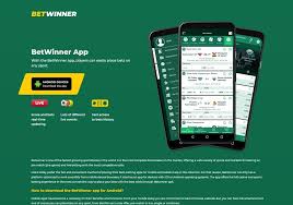 Complete Guide to Betwinner Online Login