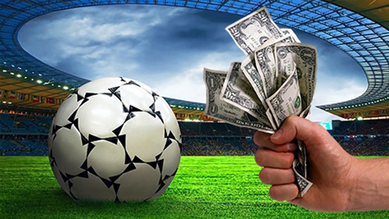 Discover Betwinner Your Ultimate Betting Experience