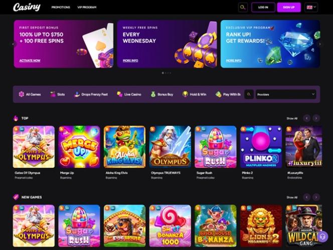Experience Exclusive Gaming with Casiny VIp Experience Exclusive Gaming with Casiny VIp