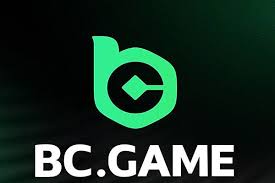 Experience the Thrill of Crypto Gaming at BC.Game