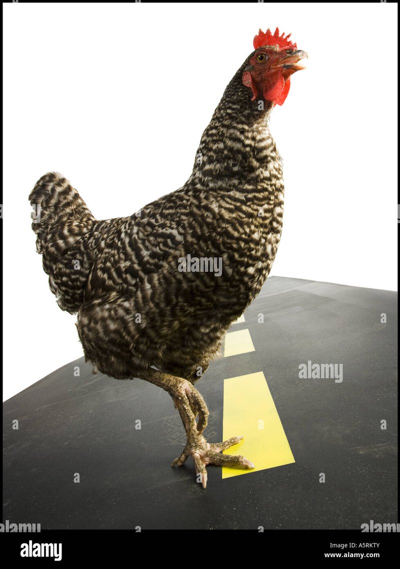 Chicken road slot in Netherlands