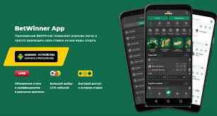Discover the BetWinner Gambling Platform Your Ultimate Gaming Destination